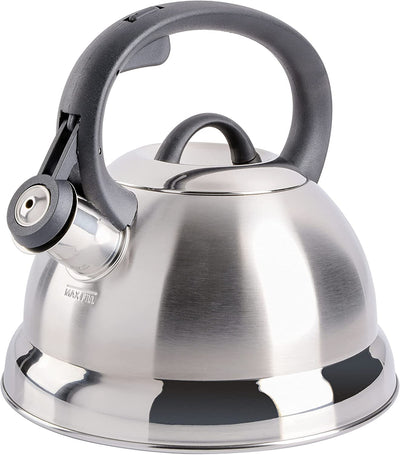 Mr. Coffee Flintshire Stainless Steel Whistling Tea Kettle, Brushed Satin