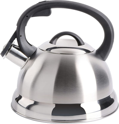 Mr. Coffee Flintshire Stainless Steel Whistling Tea Kettle, Brushed Satin