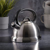 Mr. Coffee Flintshire Stainless Steel Whistling Tea Kettle, Brushed Satin