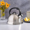 Mr. Coffee Flintshire Stainless Steel Whistling Tea Kettle, Brushed Satin