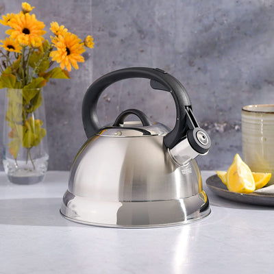 Mr. Coffee Flintshire Stainless Steel Whistling Tea Kettle, Brushed Satin